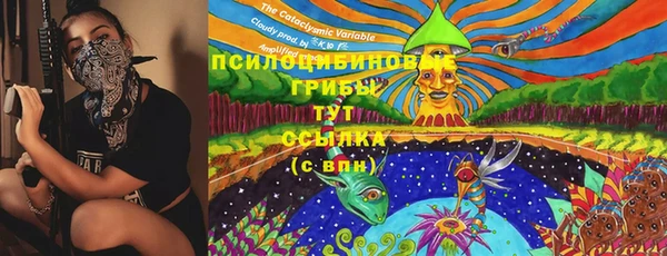 круглые Алзамай