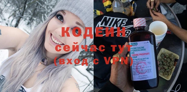 прущие грибы Гатчина