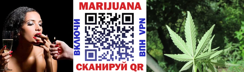 Конопля гибрид  Славск 